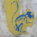 Squirrel skeleton graffiti